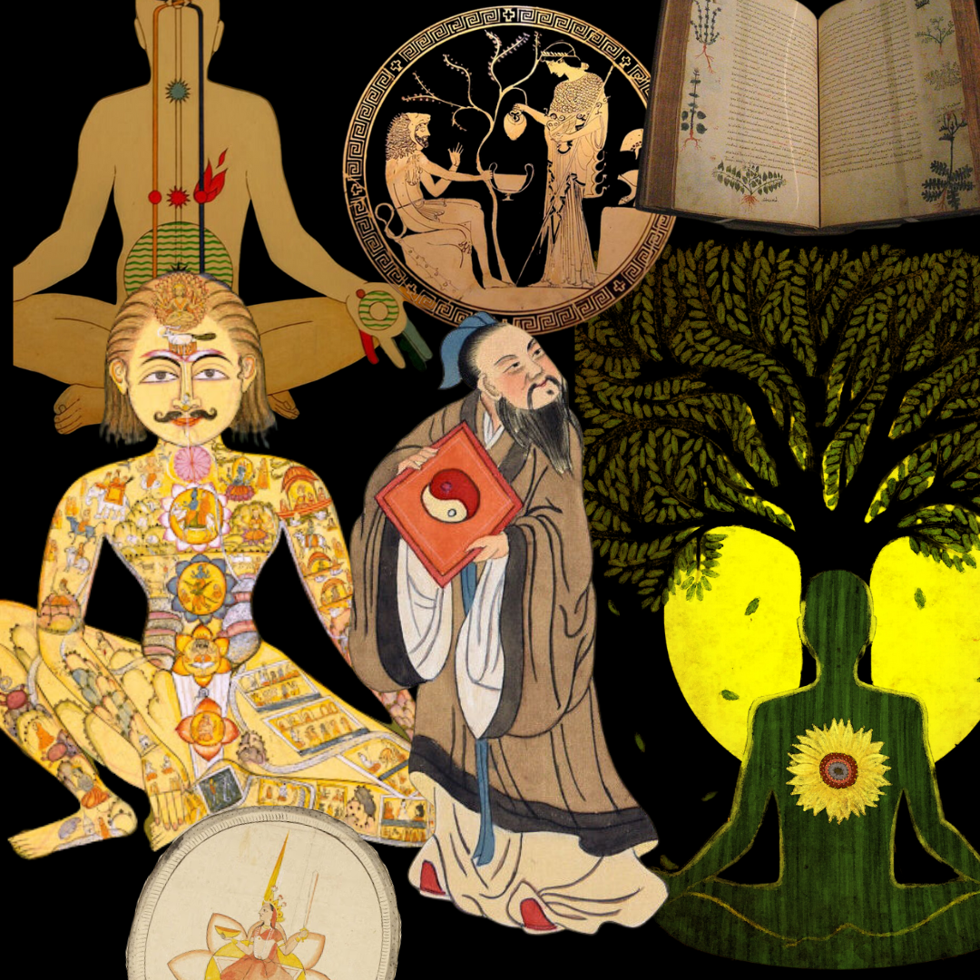 Embracing Holistic Wellness