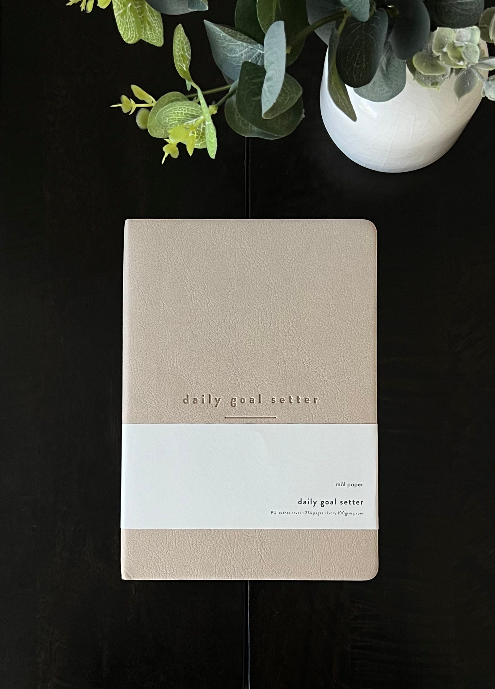 Daily Goal - Step by Step Guided Notebook