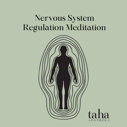 Nervous System Regulation Meditation (Digital Product)